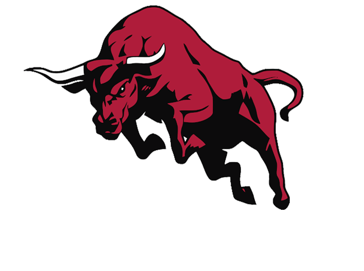 bull